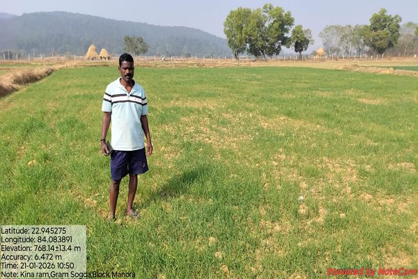 कम लागत में ज्यादा मुनाफा: रबी में गेहूं की खेती से किसानों की बढ़ी आमदनी