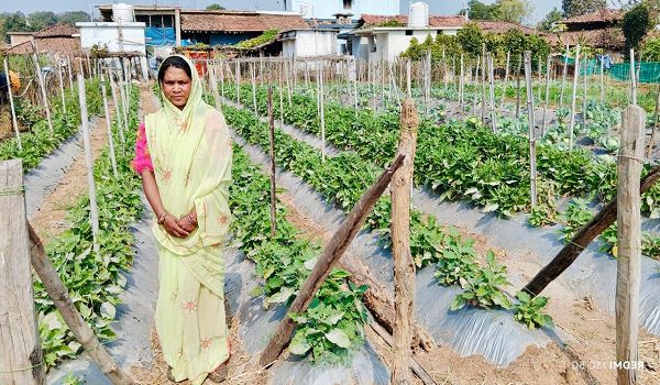 बिहान योजना से आत्मनिर्भर बनी ग्राम झलमला की जानकी धुर्वे