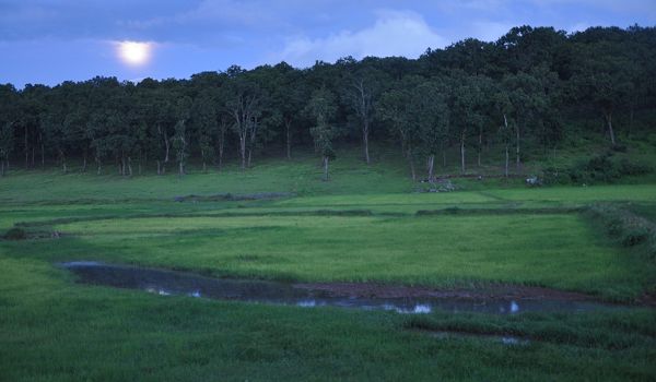 प्रकृति, संस्कृति और मनोरंजन का त्रिवेणी संगम : 13 फरवरी से सजेगा तीन दिवसीय &rsquo;मैनपाट महोत्सव&rsquo; का भव्य मंच