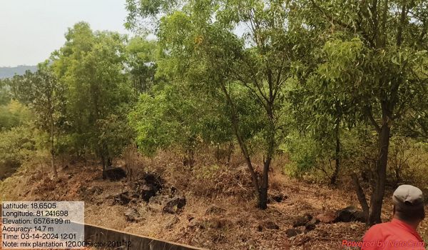 हरियाली और रोजगार को मिलेगा बढ़ावा