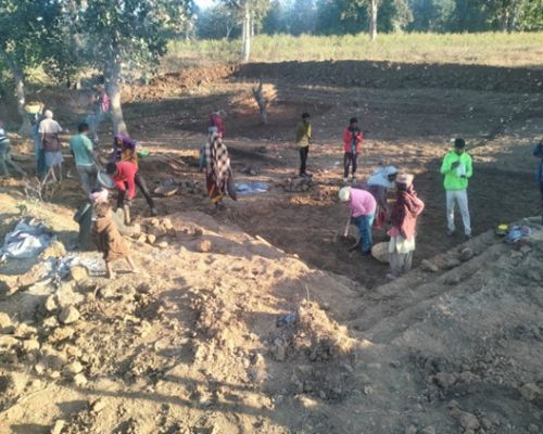 मछली पालन और खेतो की सिंचाई का साधन बनेगा आजीविका डबरी।