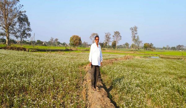 धान के बदले धनिया की खेती की ओर किसानों का रुझान