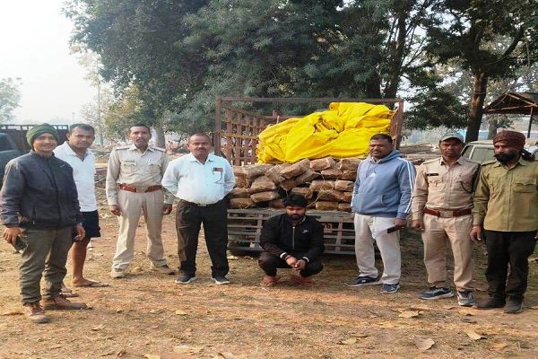 अवैध वनोपज परिवहन पर वन विभाग की कार्रवाई