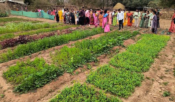 बस्तर के नवाचार देख उत्साहित हुईं बिलासपुर की दीदियाँ