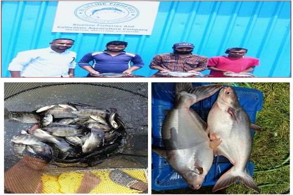 जलाशय से समृद्धि तक का सफर, 54 केजो ने बदली मछुआ समिति की तस्वीर