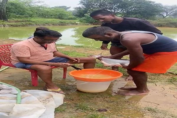  कृषि से मत्स्य पालन तक का सफर : अरविंद सिंह ने इंटीग्रेटेड फिश फार्मिंग से खड़ी की 8 लाख से अधिक वार्षिक आय की मिसाल