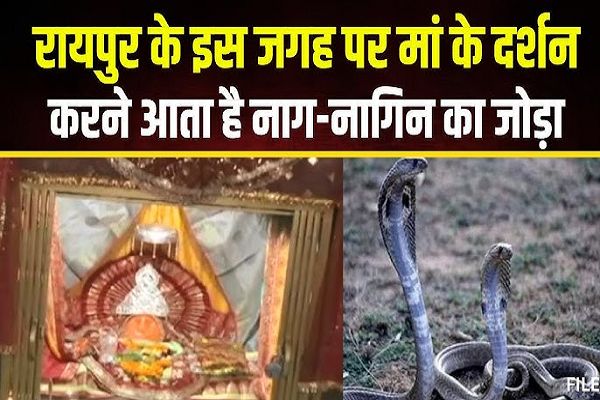 बंजारी माता के मंदिर में सिर्फ इंसान ही नहीं बल्कि मां से आशार्वाद लेने नाग-नागिन का जोड़ा भी आता है