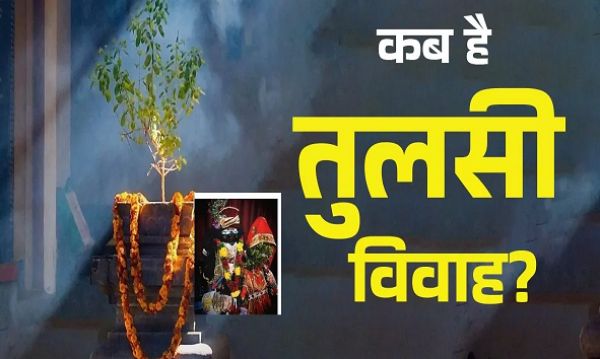 इस पावन दिन मनाया जाएगा तुलसी विवाह का पर्व, नोट करें शुभ मुहूर्त एंव पूजा विधि
