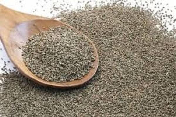 ज्यादा न करें अजवाइन का सेवन