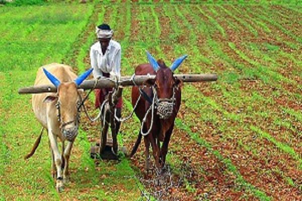 बढ़ी आमदनी लाएगी किसानों के लिए खुशहाली
