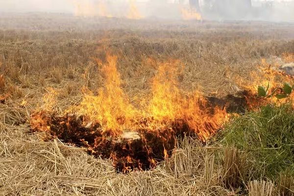 पंजाब सरकार ने पराली जलाने पर रोक लगाने के लिए योजना शुरू की