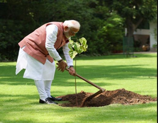  पीएम मोदी ने लगाया कच्छ की महिलाओं से मिला सिंदूर का पौधा